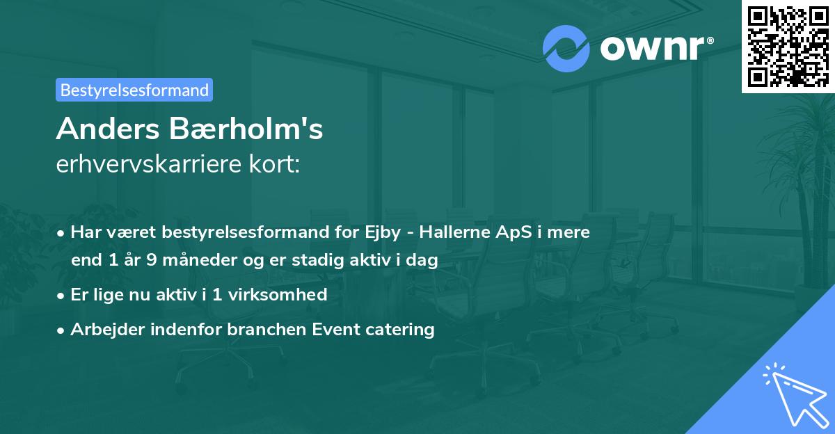 Anders Bærholm's erhvervskarriere kort