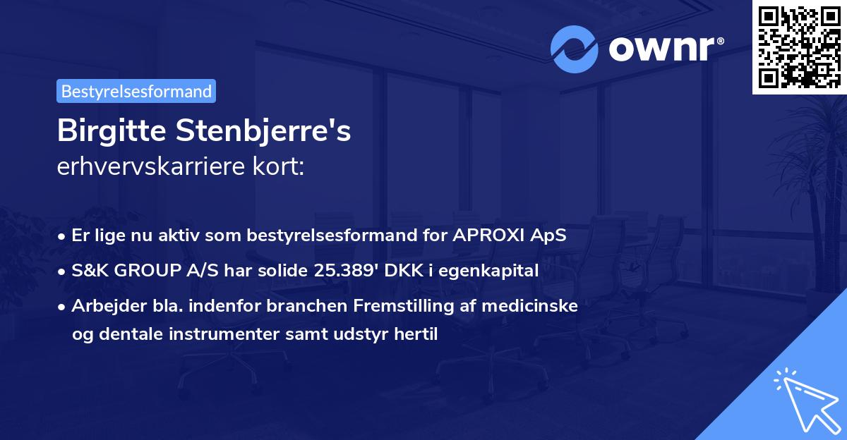 Birgitte Stenbjerre's erhvervskarriere kort