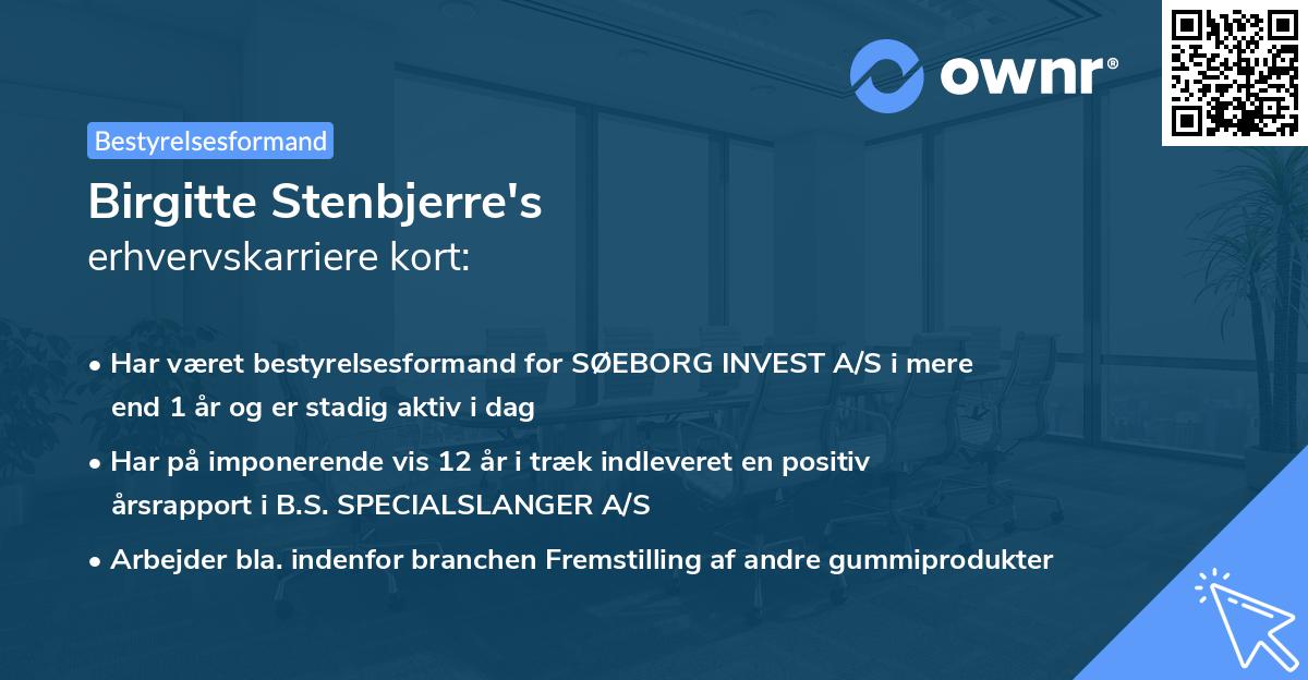 Birgitte Stenbjerre's erhvervskarriere kort