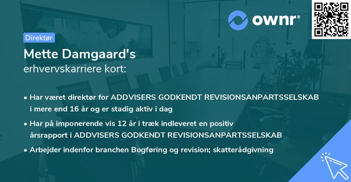 Mette Damgaard's erhvervskarriere kort