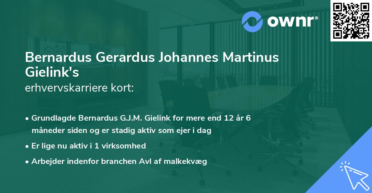 Bernardus Gerardus Johannes Martinus Gielink's erhvervskarriere kort