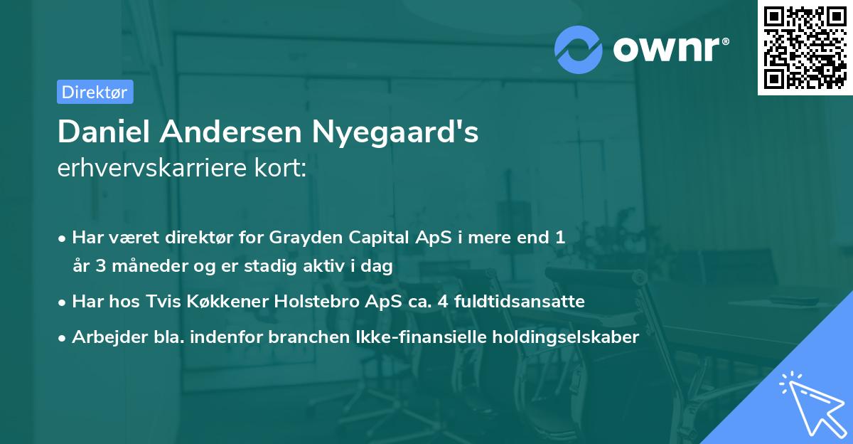 Daniel Andersen Nyegaard's erhvervskarriere kort