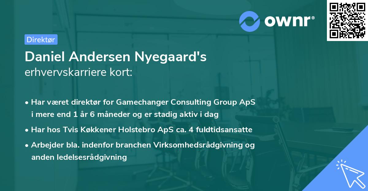 Daniel Andersen Nyegaard's erhvervskarriere kort