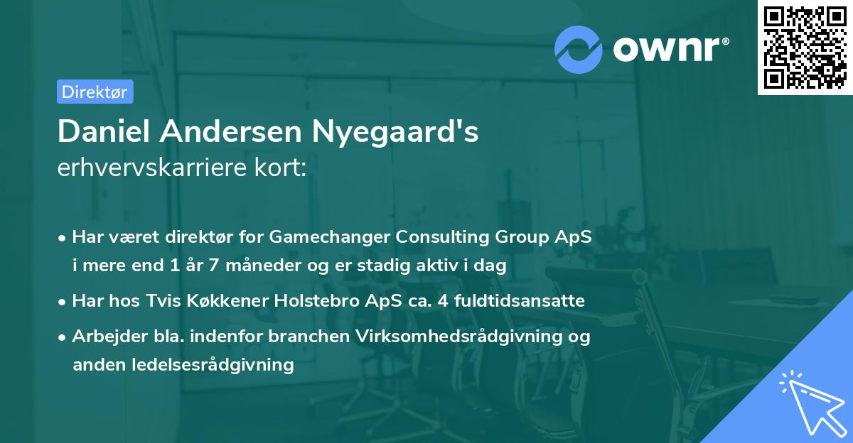 Daniel Andersen Nyegaard's erhvervskarriere kort