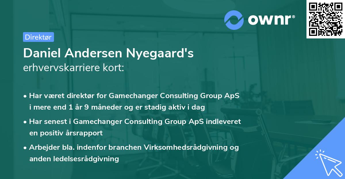 Daniel Andersen Nyegaard's erhvervskarriere kort