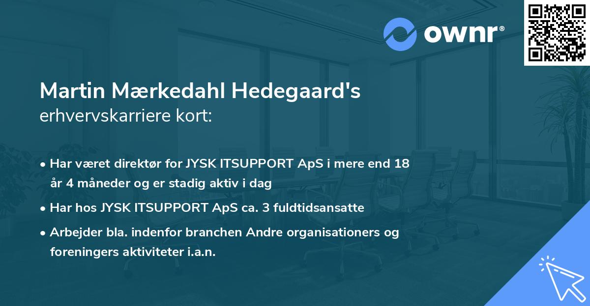 Martin Mærkedahl Hedegaard's erhvervskarriere kort