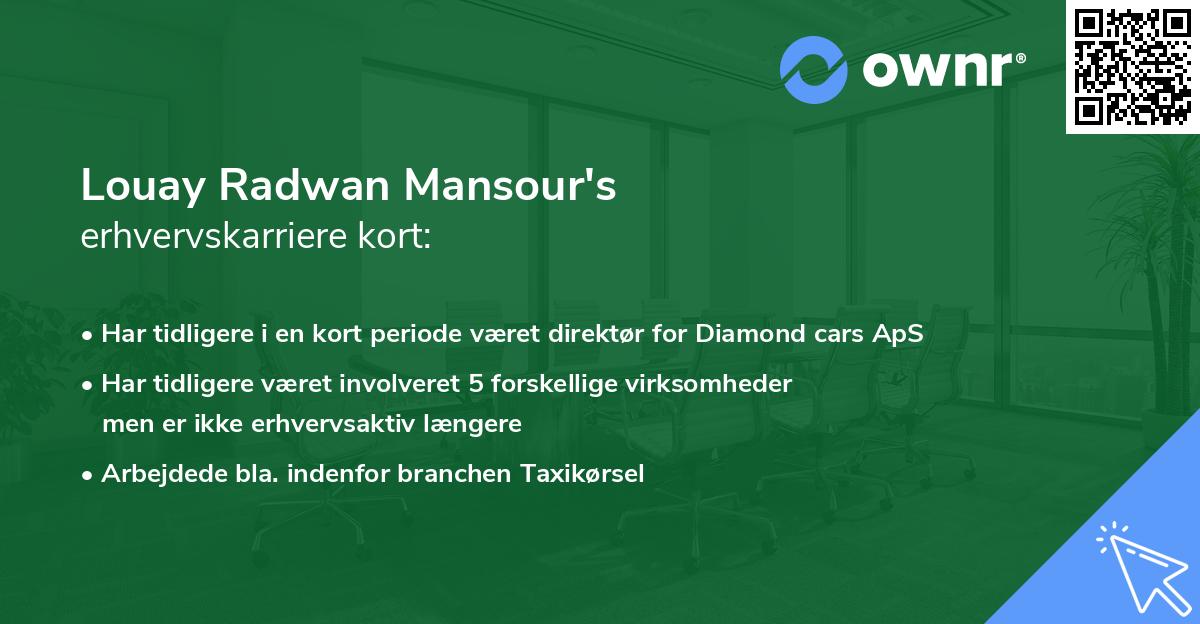 Louay Radwan Mansour's erhvervskarriere kort
