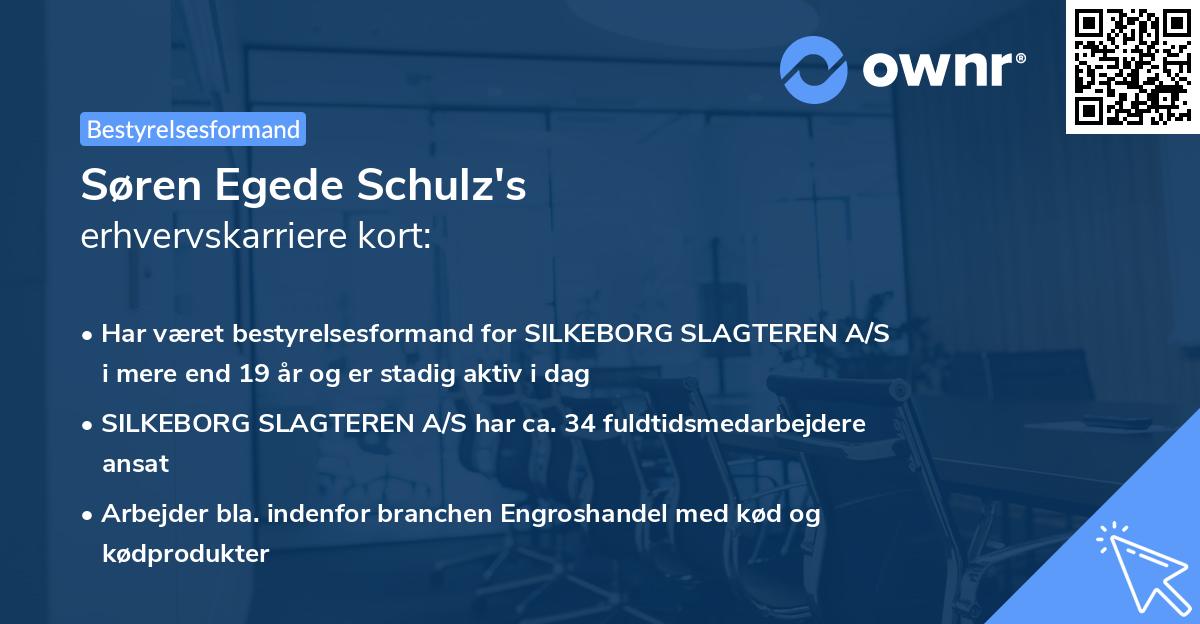 Søren Egede Schulz's erhvervskarriere kort