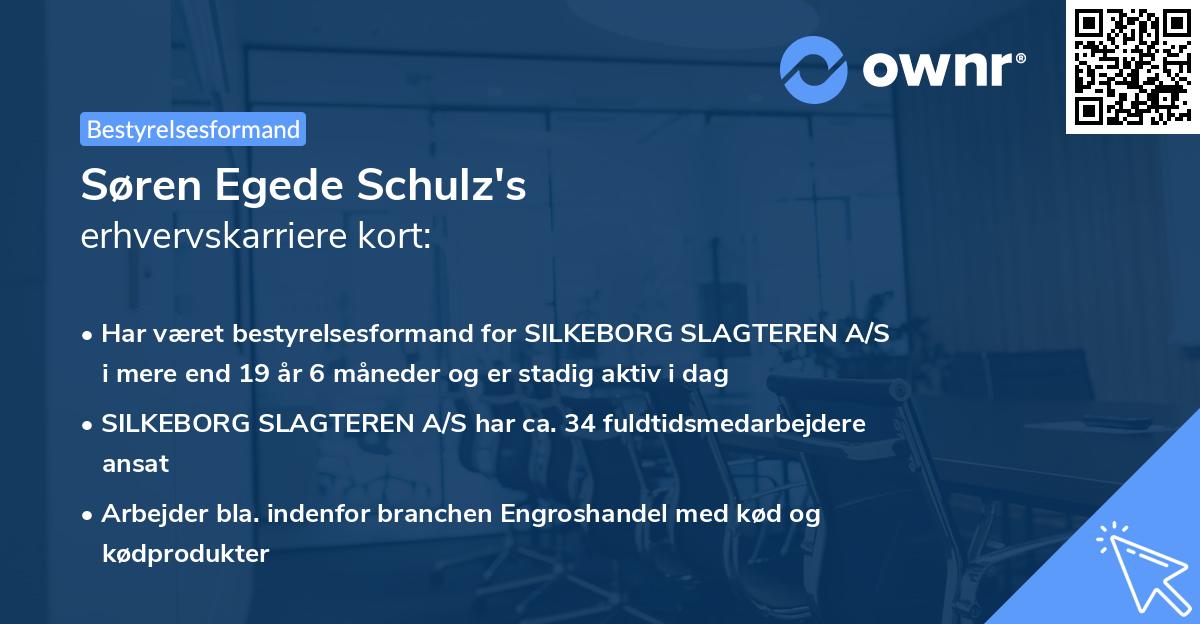Søren Egede Schulz's erhvervskarriere kort