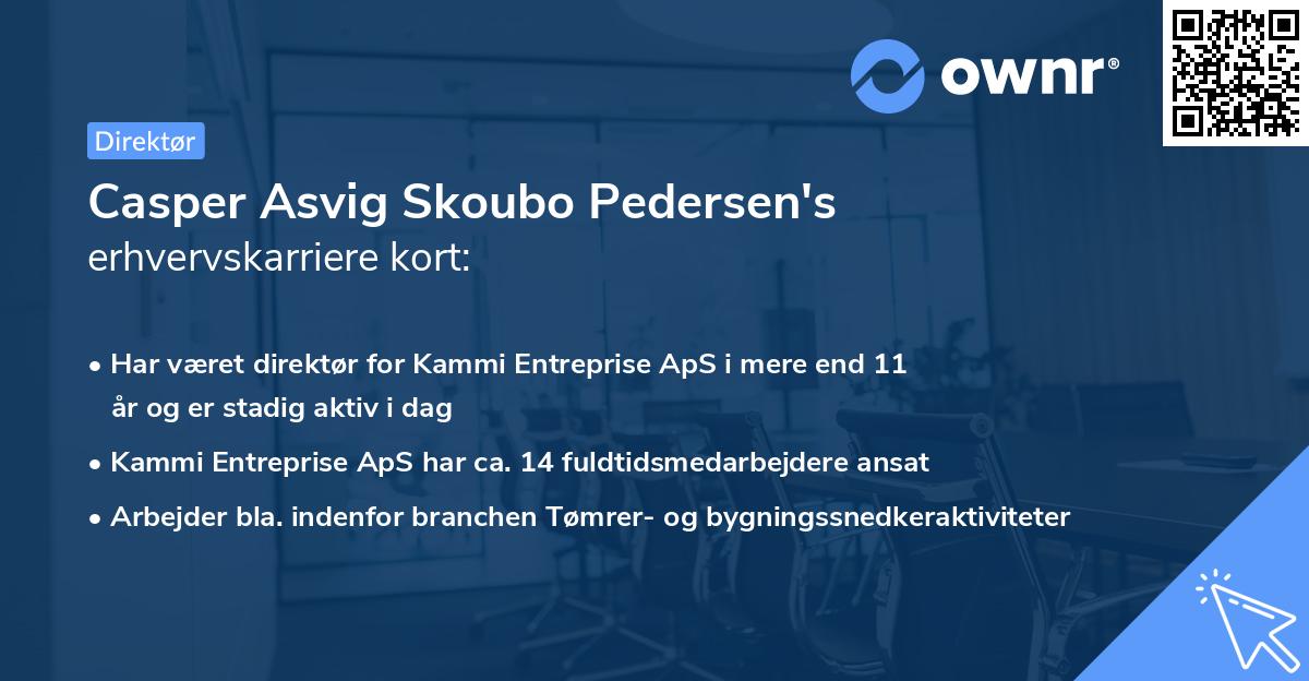 Casper Asvig Skoubo Pedersen's erhvervskarriere kort
