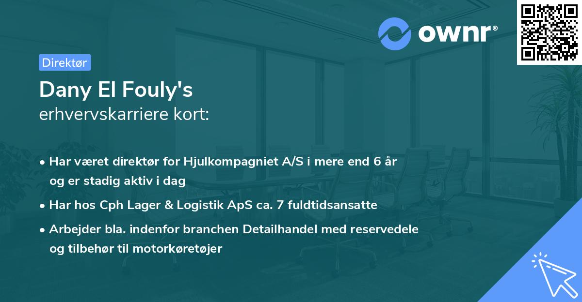 Dany El Fouly's erhvervskarriere kort
