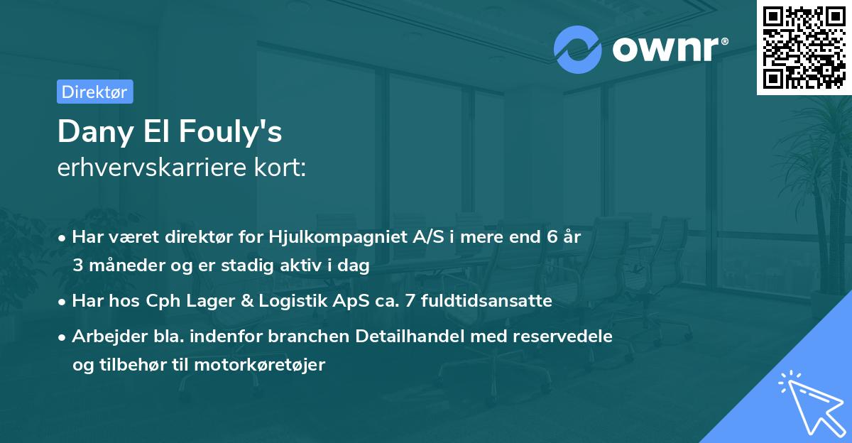 Dany El Fouly's erhvervskarriere kort