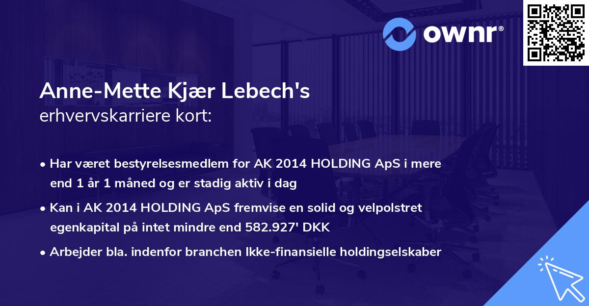Anne-Mette Kjær Lebech's erhvervskarriere kort