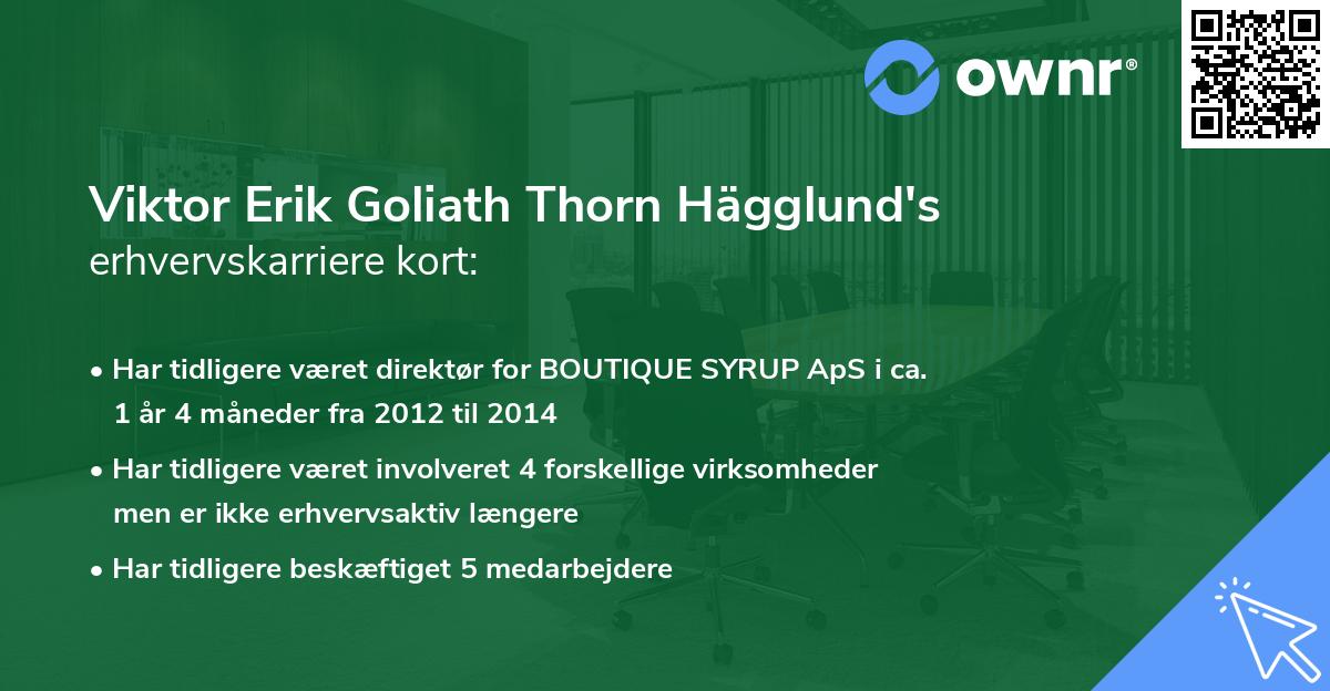 Viktor Erik Goliath Thorn Hägglund's erhvervskarriere kort