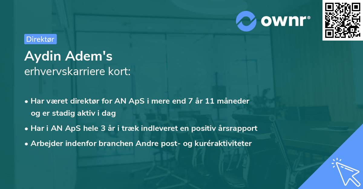 Aydin Adem's erhvervskarriere kort