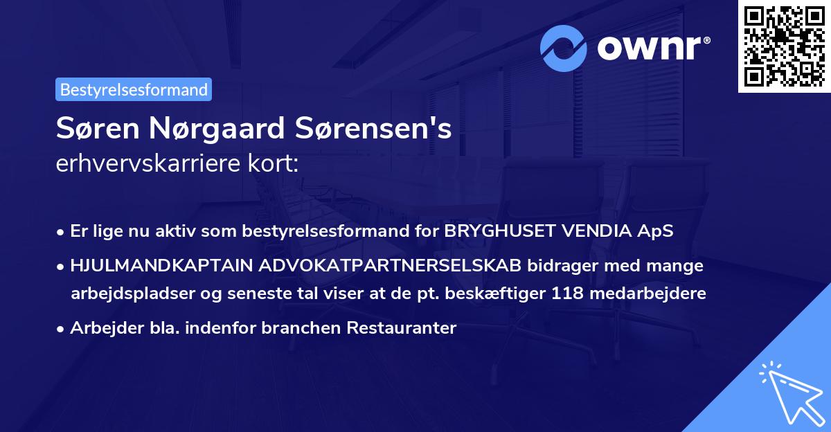 Søren Nørgaard Sørensen's erhvervskarriere kort