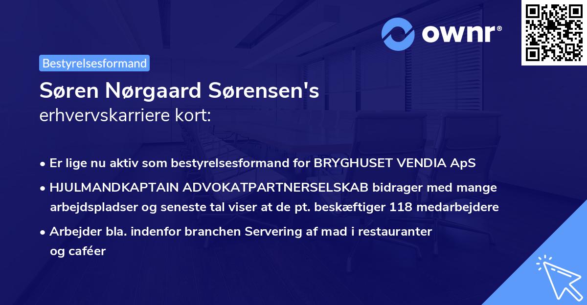 Søren Nørgaard Sørensen's erhvervskarriere kort