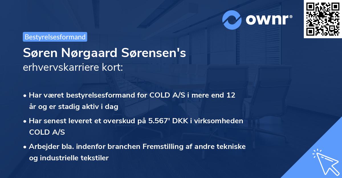 Søren Nørgaard Sørensen's erhvervskarriere kort