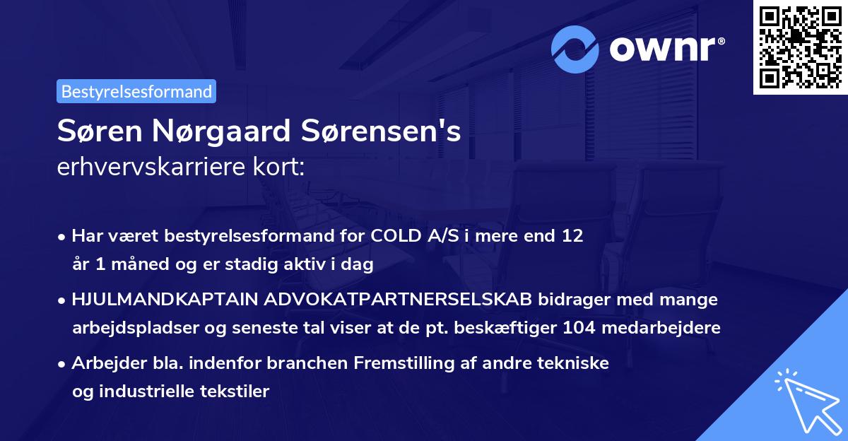Søren Nørgaard Sørensen's erhvervskarriere kort
