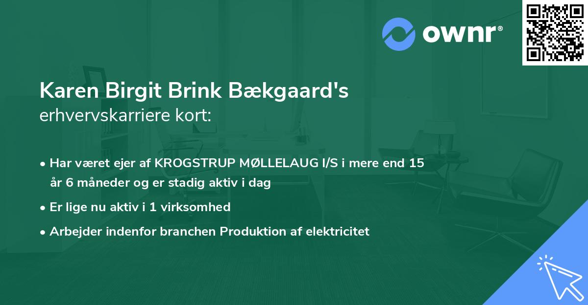 Karen Birgit Brink Bækgaard's erhvervskarriere kort