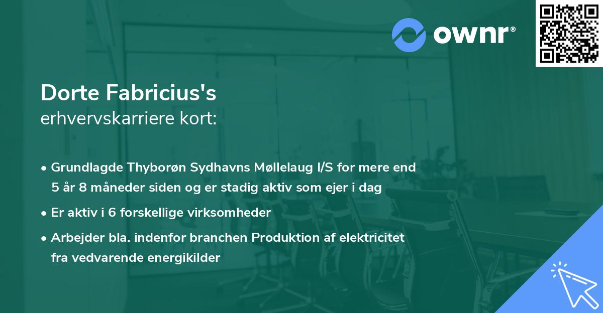 Dorte Fabricius's erhvervskarriere kort