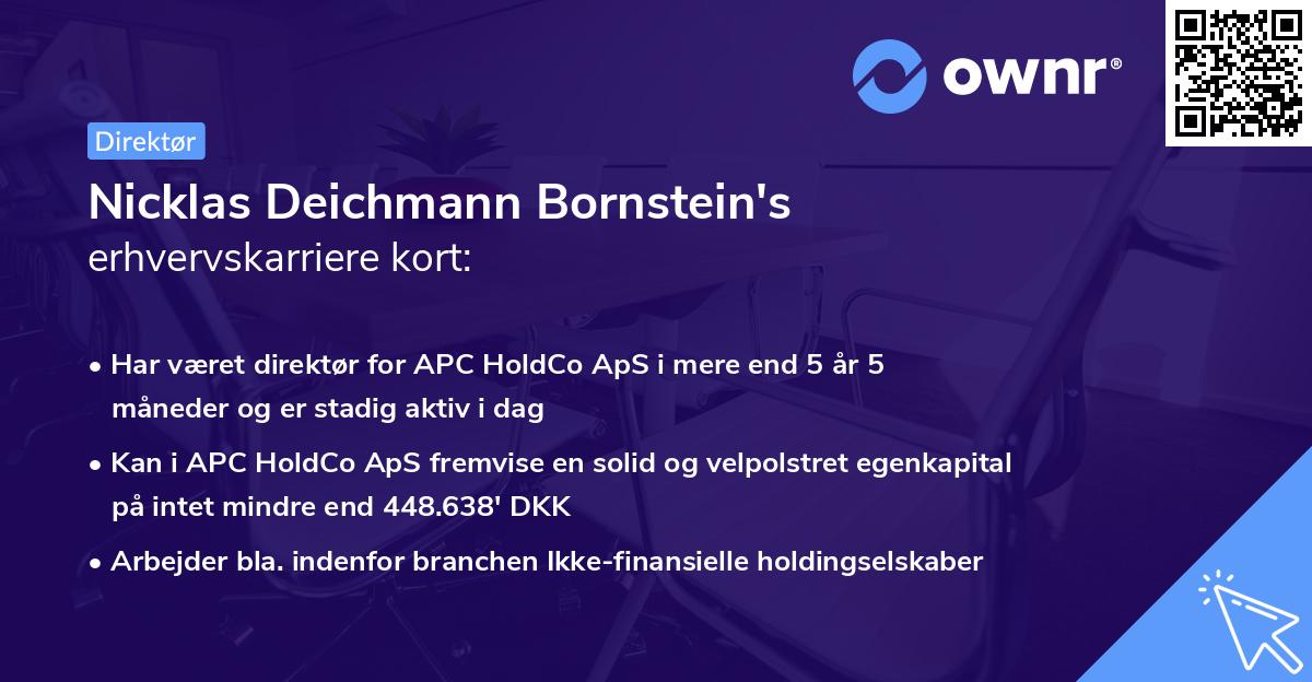 Nicklas Deichmann Bornstein's erhvervskarriere kort