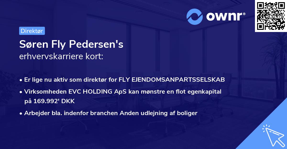 Søren Fly Pedersen's erhvervskarriere kort