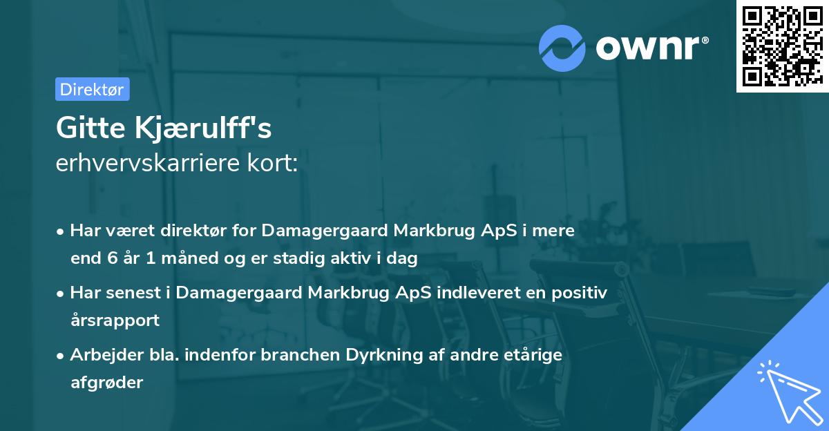 Gitte Kjærulff's erhvervskarriere kort