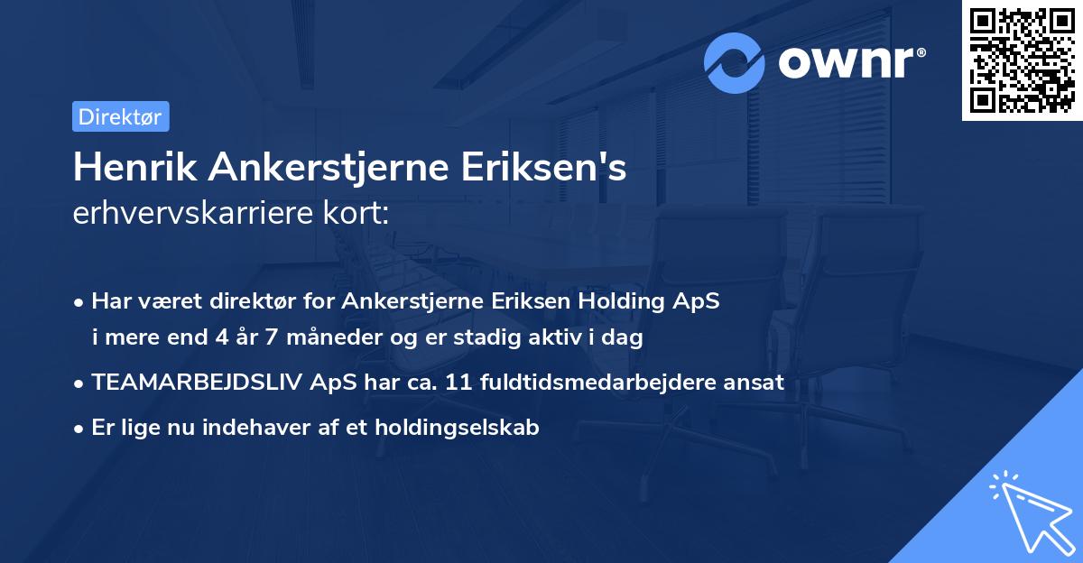 Henrik Ankerstjerne Eriksen's erhvervskarriere kort