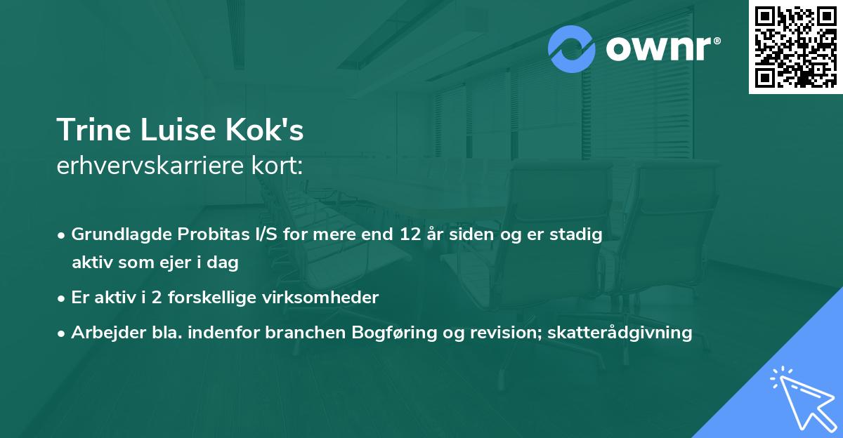 Trine Luise Kok's erhvervskarriere kort