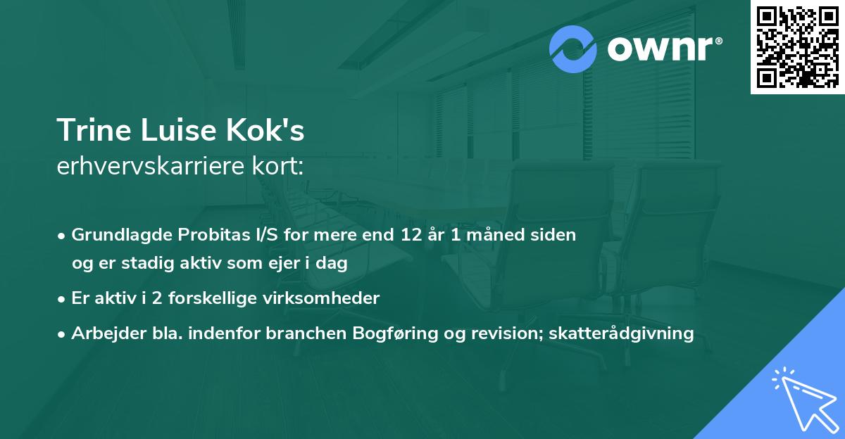 Trine Luise Kok's erhvervskarriere kort