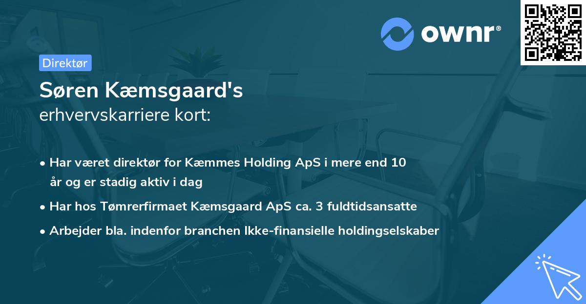 Søren Kæmsgaard's erhvervskarriere kort