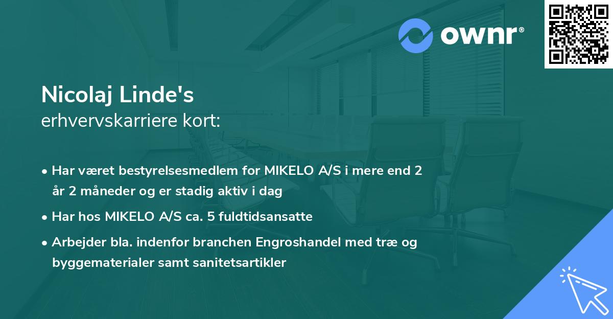 Nicolaj Linde's erhvervskarriere kort