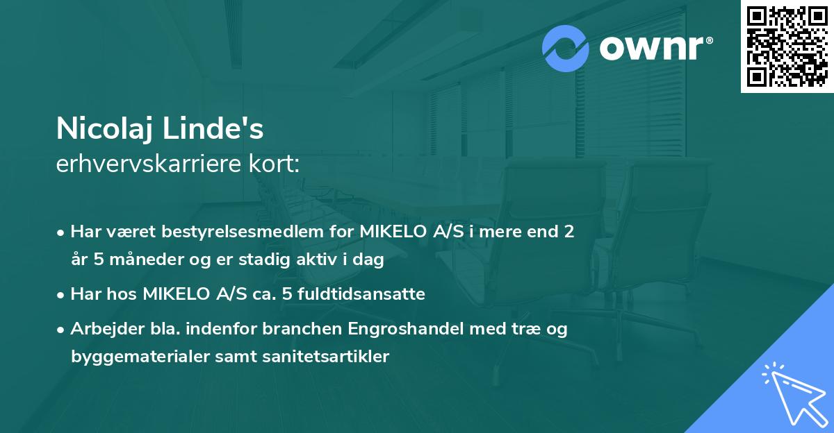 Nicolaj Linde's erhvervskarriere kort