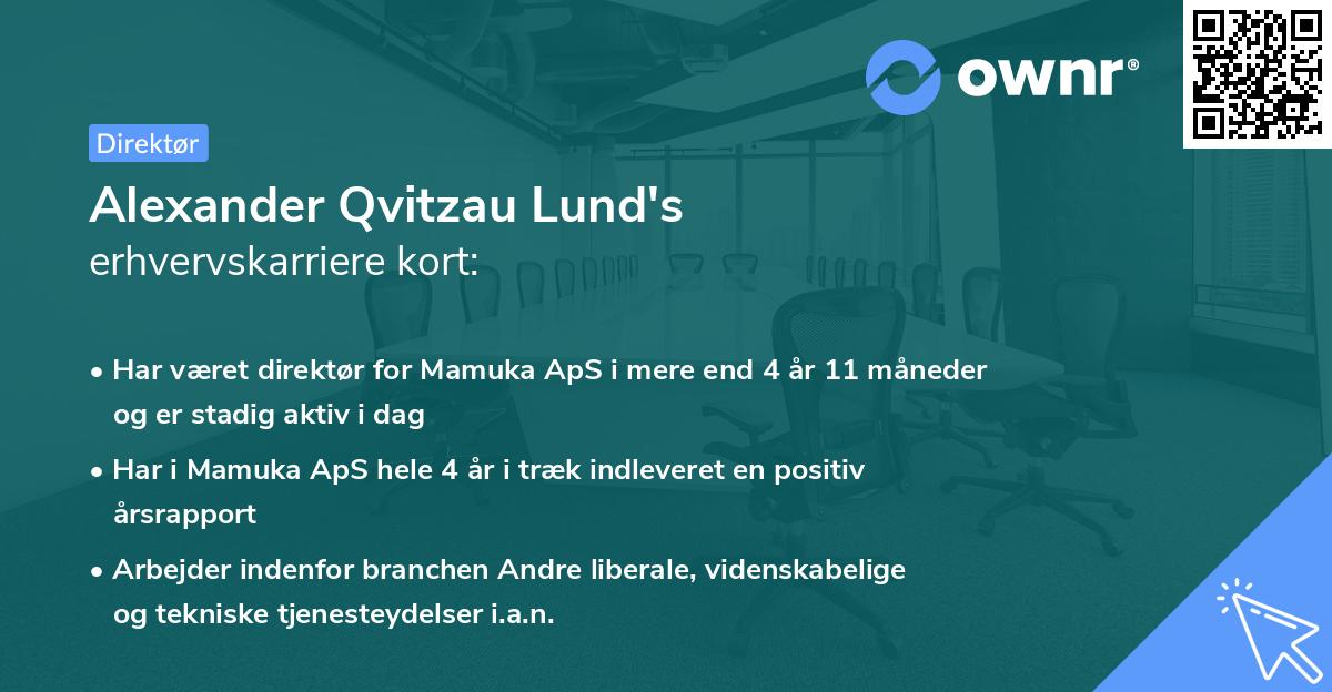 Alexander Qvitzau Lund's erhvervskarriere kort