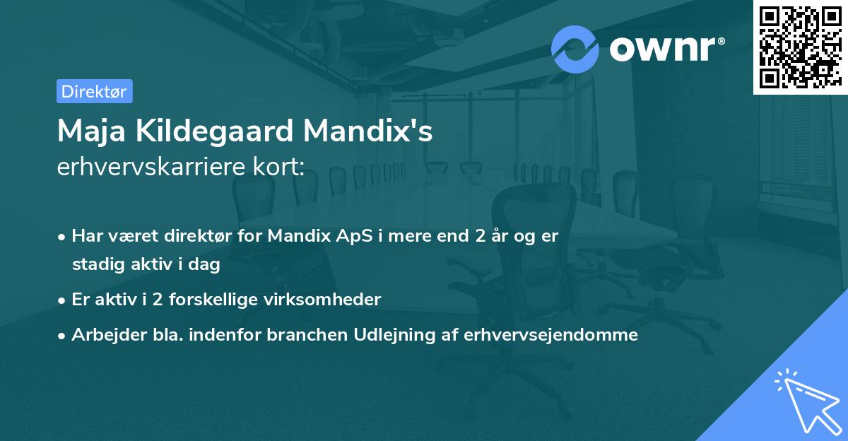 Maja Kildegaard Mandix's erhvervskarriere kort