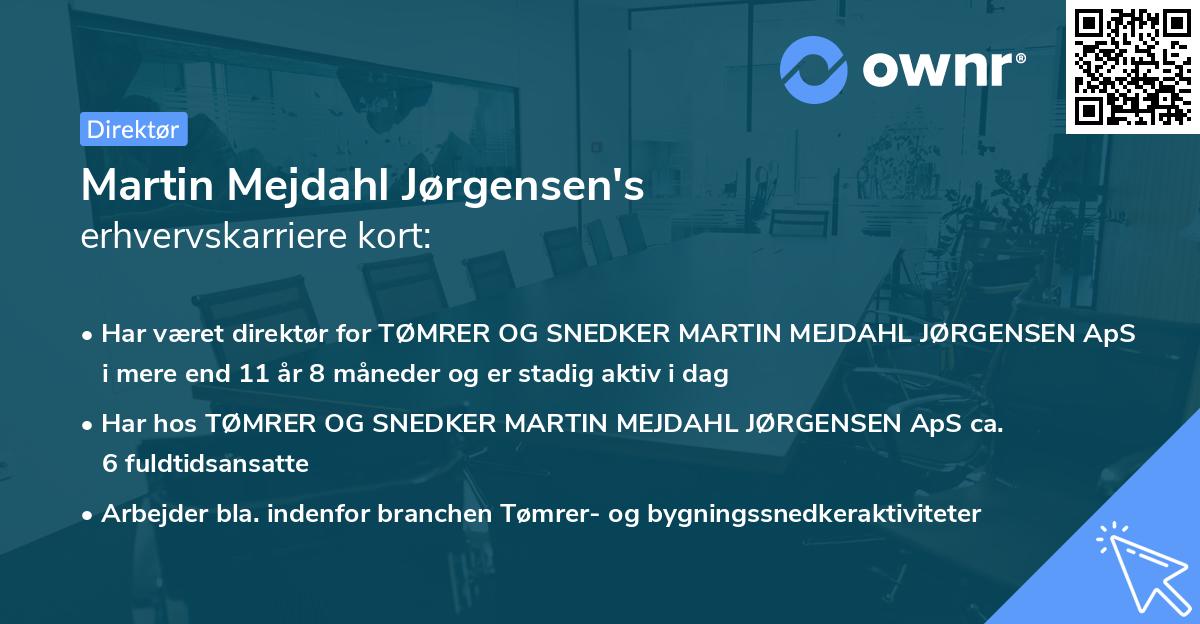 Martin Mejdahl Jørgensen's erhvervskarriere kort