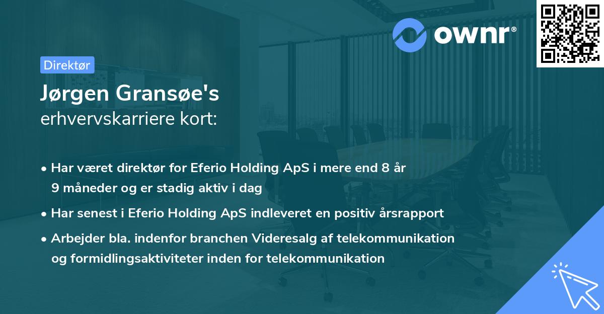 Jørgen Gransøe's erhvervskarriere kort