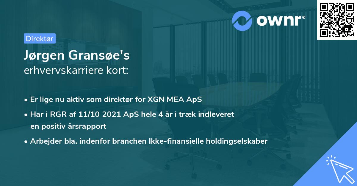 Jørgen Gransøe's erhvervskarriere kort