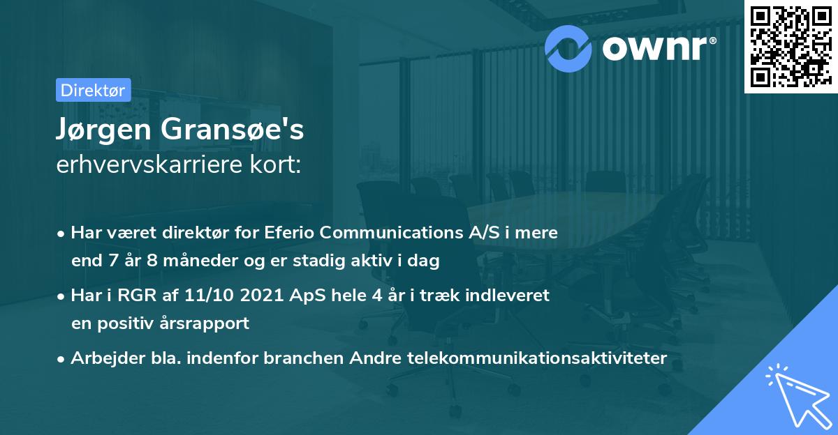 Jørgen Gransøe's erhvervskarriere kort