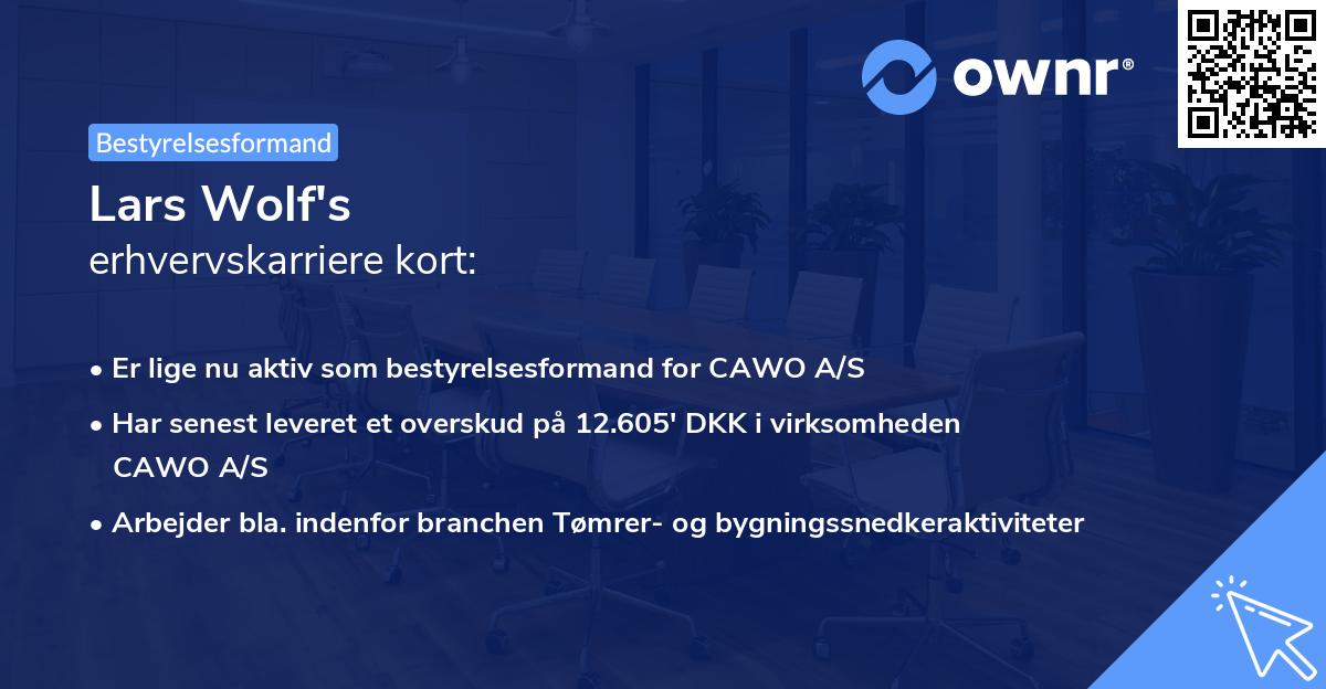 Lars Wolf's erhvervskarriere kort