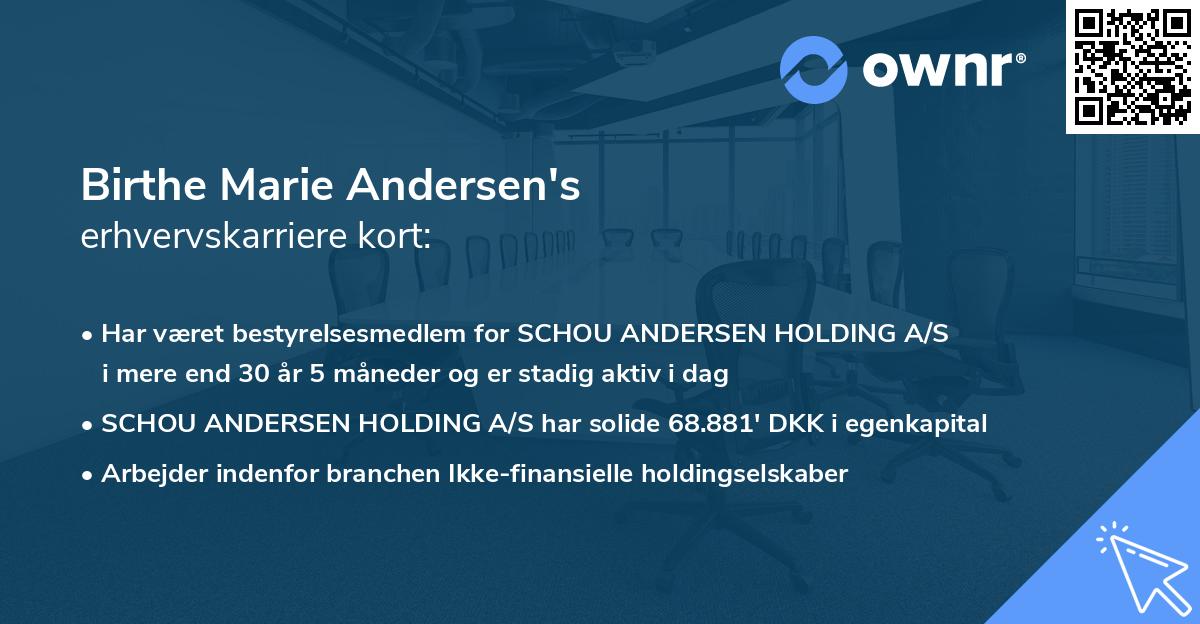 Birthe Marie Andersen's erhvervskarriere kort