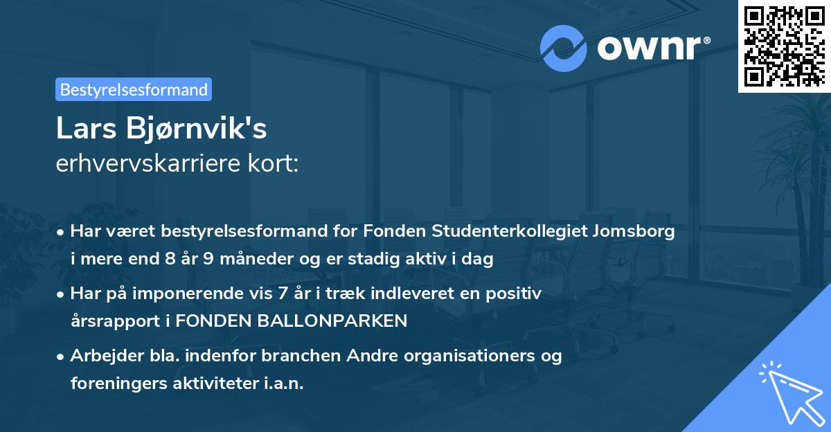 Lars Bjørnvik's erhvervskarriere kort