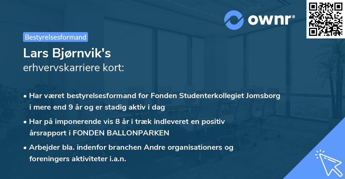 Lars Bjørnvik's erhvervskarriere kort