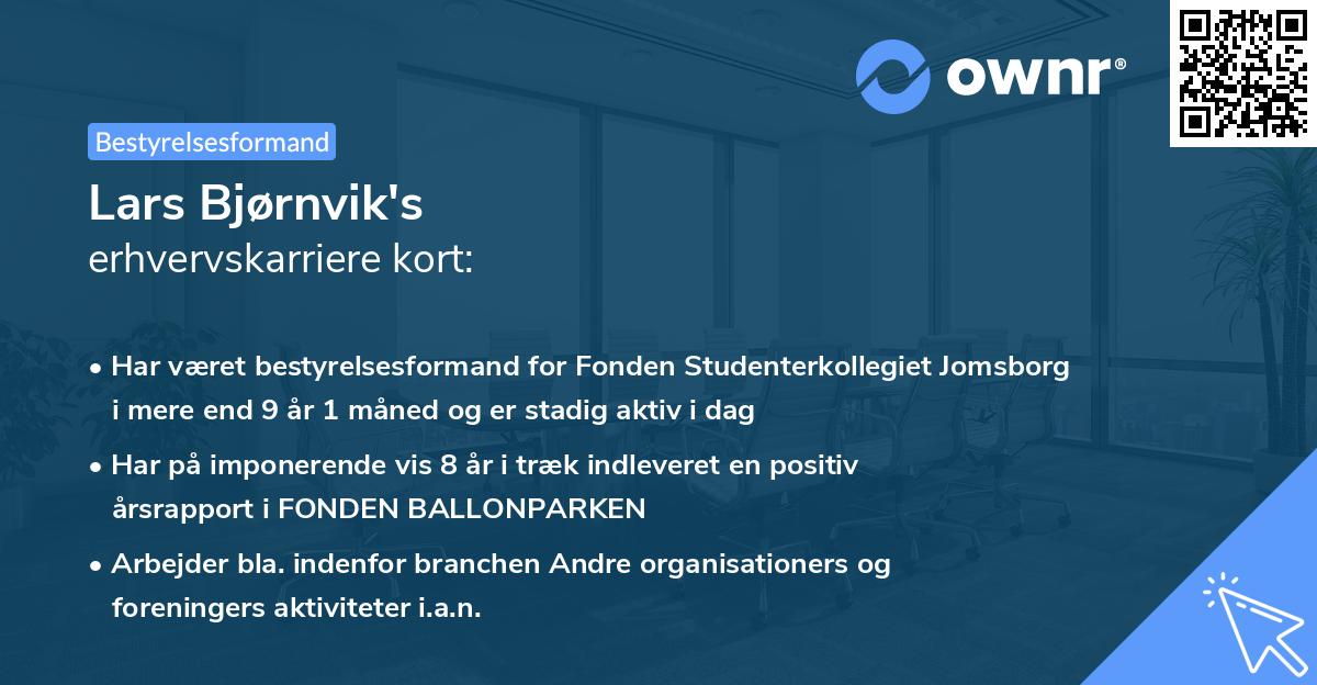 Lars Bjørnvik's erhvervskarriere kort