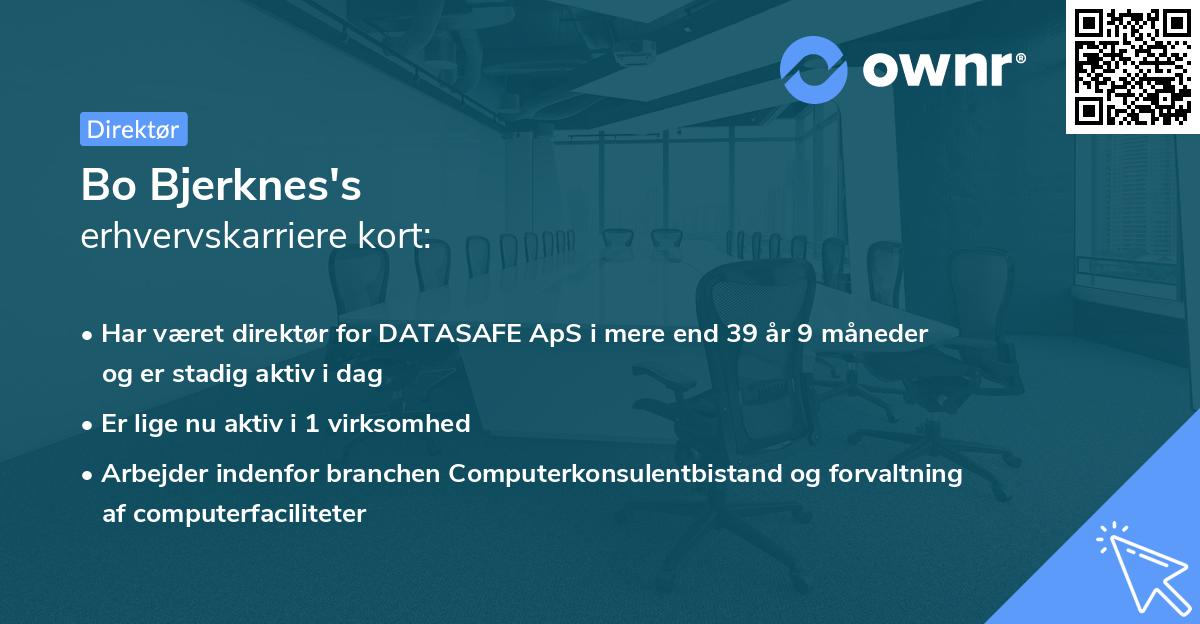 Bo Bjerknes's erhvervskarriere kort