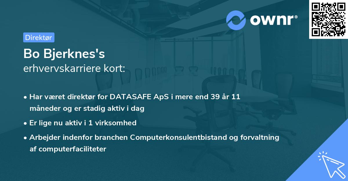 Bo Bjerknes's erhvervskarriere kort
