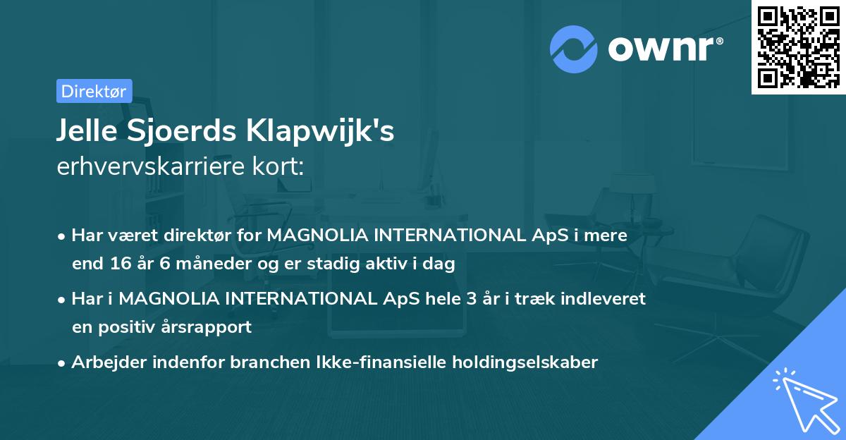 Jelle Sjoerds Klapwijk's erhvervskarriere kort