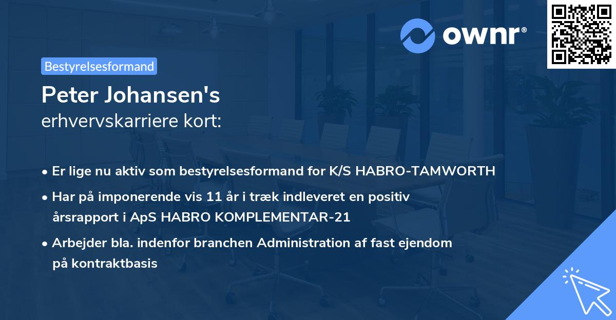 Peter Johansen's erhvervskarriere kort