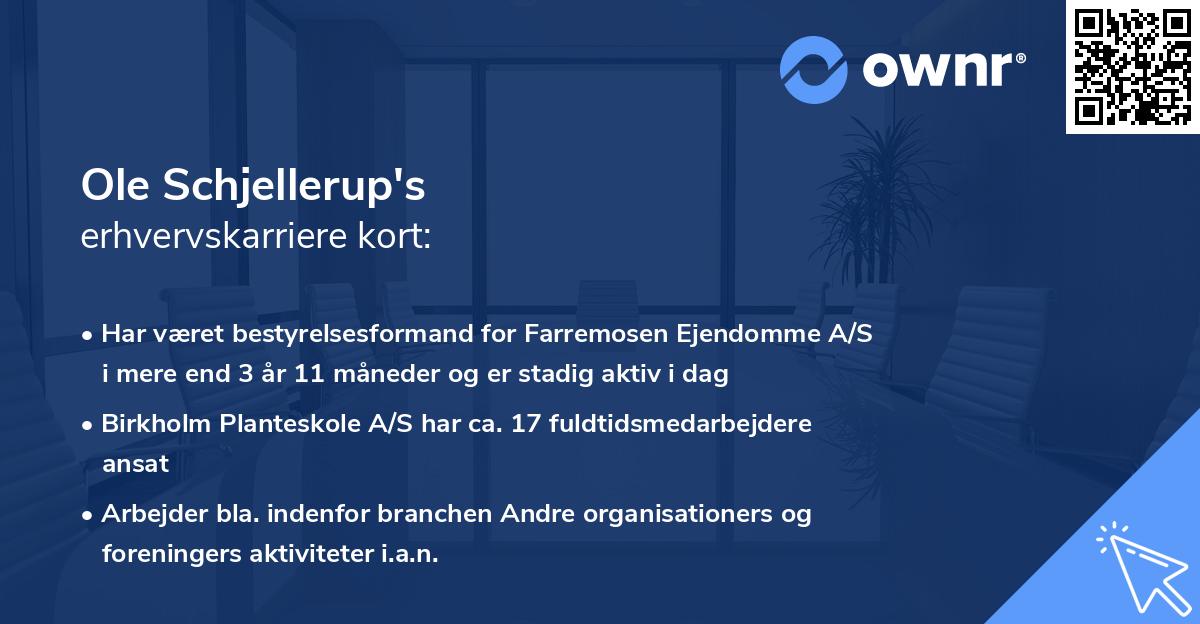 Ole Schjellerup's erhvervskarriere kort